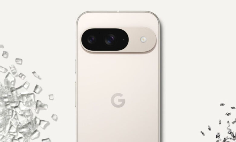 Google Pixel 10 सीरीज के लॉन्च से पहले 22000 रुपये कम हुई Pixel 9 की कीमत, अब मिल रहा इतने में | Google Pixel 9 Price Cut Rs 22000 On Flipkart Ahead Of Pixel 10 Series Launch